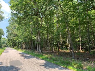 0 Sturgeon Point Rd Unit 2124509, Charles City, VA 23030