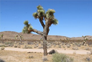 60337 Belfair Dr, Joshua Tree, CA 92252