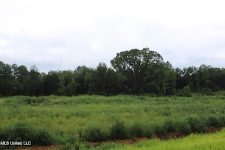6 Taylor Nichole Rd, Byhalia, MS 38611