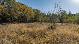 8052 Buck Ridge Rd, Janesville, IA 50647
