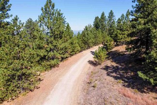XX N Nicholle Ln, Chattaroy, WA 99003