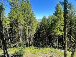 1562 Crown Point Pkwy, Cascade, ID 83611