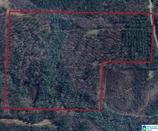 0 Jimmy Brown Rd, Hamilton, AL 35570