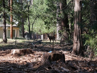6082 Sly Park Rd Placerville, Placerville, CA 95667