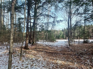 S Lake Rd, Flambeau, WI 54555