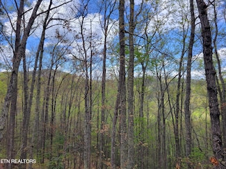 Lot 2 Sunset Dr, Sevierville, TN 37862