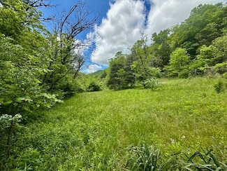 Tbd Enoch Rd Unit LotWP001, Eidson, TN 37731