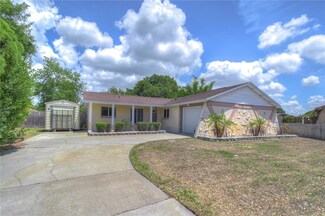 8201 Hornwood Place, Tampa, FL 33615