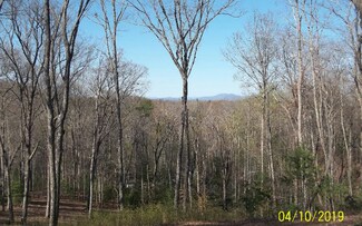 1001 Mangum's Pride, Blue Ridge, GA 30513