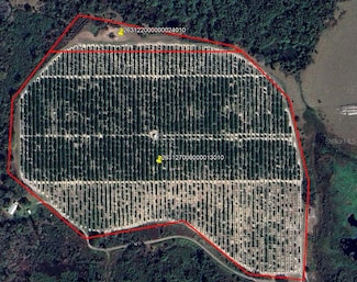 0 Buffum Church Rd Unit MFRP4934901, Fort Meade, FL 33841