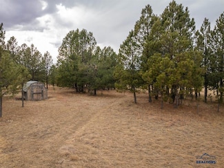 TBD Sundance Dr Unit Tr 46 Lone Elk Sub -, West Custer Township, SD 57747