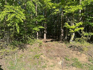 Parcel M Peach Creek, Saugatuck Township, MI 49408