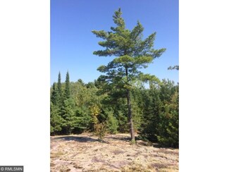 6823 Crane Lake Rd, Orr, MN 55771