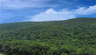0 Cascade Mountain Rd Unit 419986, Amenia, NY 12501