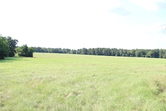 None County Road 3401, Lovelady, TX 75851