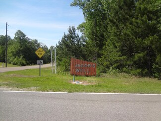 Lot 16 Jacob Michael Dr, McHenry, MS 39561