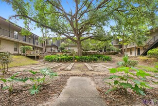 1290 Park Blvd Unit 207, Baton Rouge, LA 70806