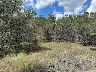 7131 Rebecca Creek, Spring Branch, TX 78070