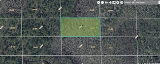 0 Dill Rd Unit MFRO6248787, Orlando, FL 32820