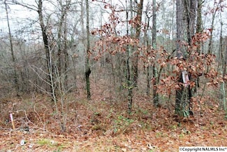 Lot 5 Quail Dr, Centre, AL 35960