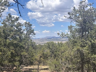 0 Lot 23 Tee Pee Ranch Unit 1090346, Datil, NM 87821