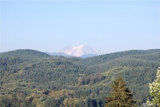 125 Pinewood Ln, Mossyrock, WA 98564