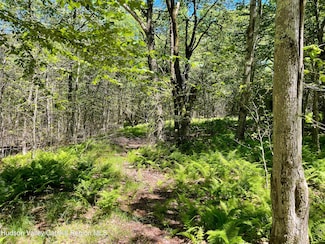 3045 Red Hill Rd, Grahamsville, NY 12740