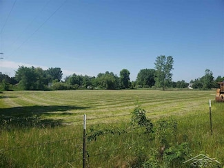 Vacant Land N Garfield Rd, Linwood, MI 48650