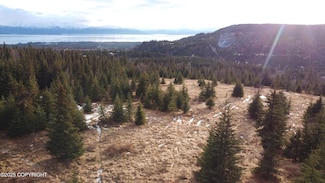 55675 W Benjamin Ave, Homer, AK 99603