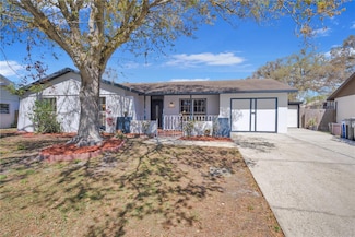 8243 Vassar Cir, Tampa, FL 33634
