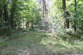 Lot 1020 Teaberry Ln, Farwell, MI 48622