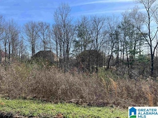 1 Summit Ridge Way Unit 76, Argo, AL 35120