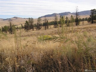 111 Armitage Hill Rd, Riverside, WA 98849