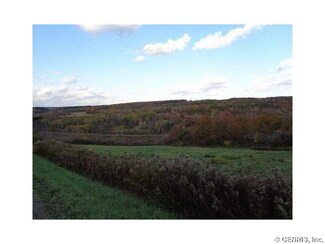 0 Cream Hill Rd Unit R288060, Dansville, NY 14807