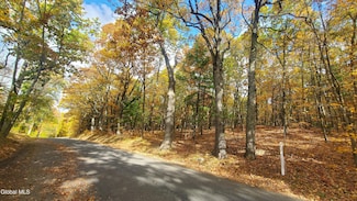 L25 Fischer Rd, Kinderhook, NY 12106