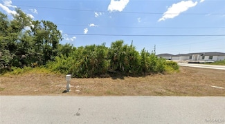 14169 Barnwood Ln, South Gulf Cove, FL 33981