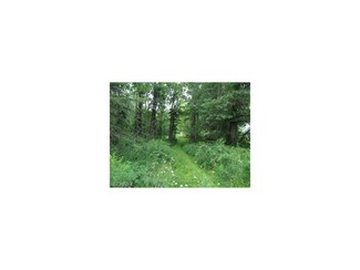 15705 Church Rd, Dalton, OH 44618