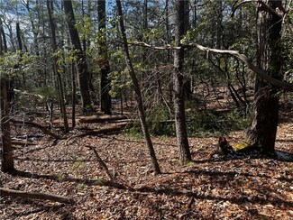 tract 3 Timber Ridge Rd, Millers Creek, NC 28651