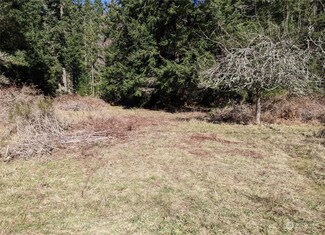0 E Andreason Rd, Langley, WA 98260