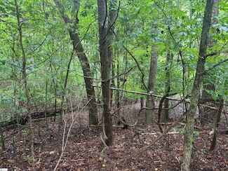 0 Lake Forest Dr Unit 1540821, Abbeville, SC 29620