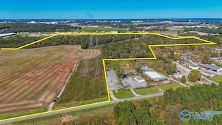 136 acres Old Highway 24, Trinity, AL 35673