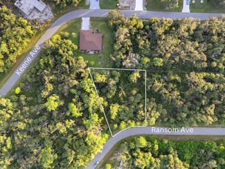 15049 Ransom Ave, Port Charlotte, FL 33953