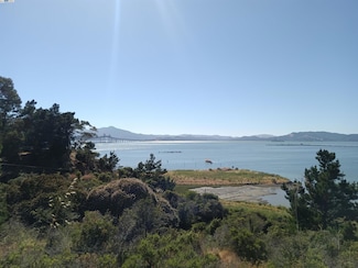 0 Castro Point Unit 41067780, Richmond, CA 94802