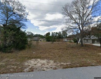 3169 Maxwell Ave, Spring Hill, FL 34608