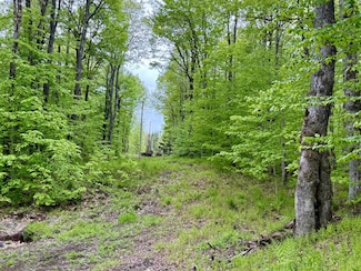 532 New York 8 Unit 2, Piseco, NY 12139