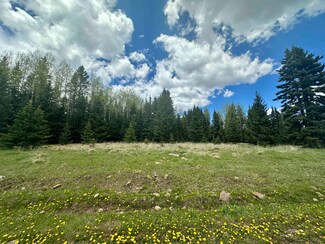 Lot 15 Pleasant Meadow Dr, Angel Fire, NM 87710