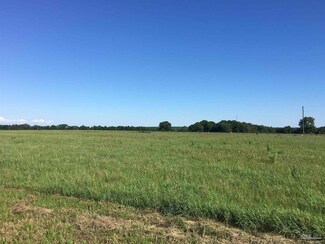 3500 Hwy 99, Century, FL 32535