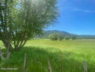 NNA 80 Acres Blue Lake Rd, Priest River, ID 83856