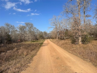 1719 Watterson Rd, Red Rock, TX 78662