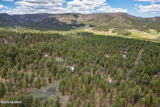14 Colorados Lane #2050 Unit 23, Alpine, AZ 85920
